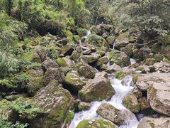 -青城山