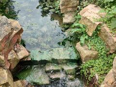 -树山生态村