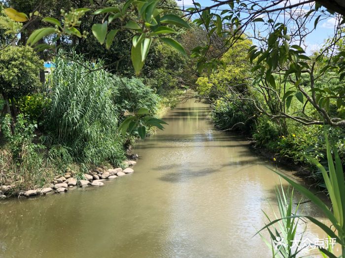 長興島郊野公園-圖片-崇明區周邊遊-大眾點評網