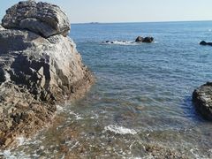 -海合安青岛极地海洋公园