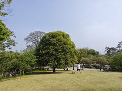 -南山植物园