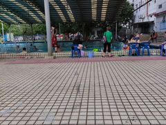 -牡丹游泳馆(金山馆)