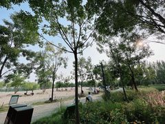 -东郊湿地公园