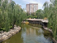 -团结湖公园