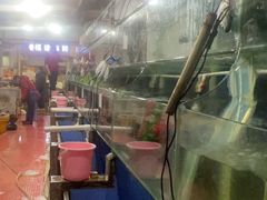 -众彩物流水产市场