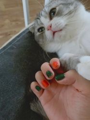 -初NAIL日式美甲美睫沙龙