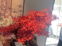 -顺峰(农展馆店)