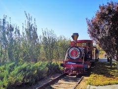 -永定河休闲森林公园