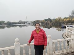 -大港湿地公园