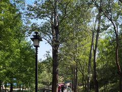 -白水寺森林公园