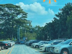 -深圳市少年宫-停车场