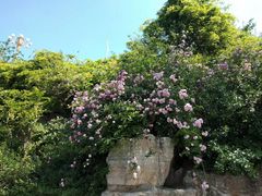 -济南国际园博园