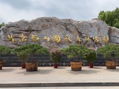 -北京西山国家森林公园