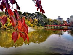 -天王寺公园