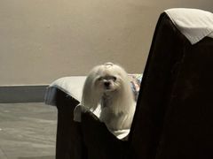 -扬派·扬州搓背馆(运河旗舰店)
