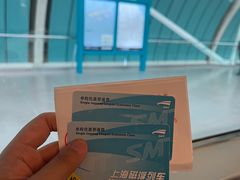 -龙阳路磁悬浮列车总站-停车场