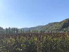 -南泥湾风景区