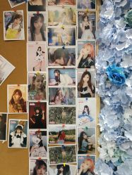 -doladola(徐家汇店)