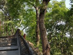 -子昂故里文化旅游区