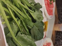 -川中渝夫火锅(铜陵万达广场店)