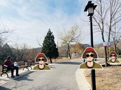 -白水寺森林公园