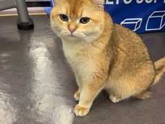 -上海来福士广场