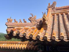 -颐和园