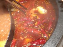 -销魂美蛙鱼头火锅(上海首店)