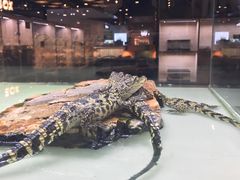 -王府井百货熙地港店