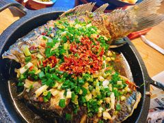 -聚鑫朋酸菜肥肠(文艺路口店)