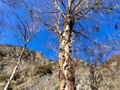 -叠溪松坪沟景区