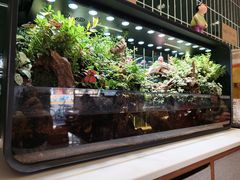-堂屋糖水店(愚园店)