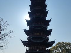 -龙华素斋(龙华路店)