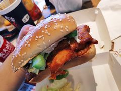 -凤凰山海港乐园