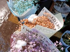 -循礼门鲜花花市(武汉循礼门店)