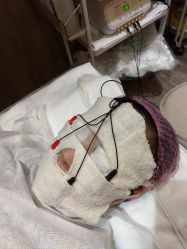 -上海星和医疗美容