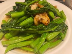 菜心-老广酒楼(樱花店)