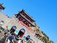 -西霞口神雕山野生动物世界