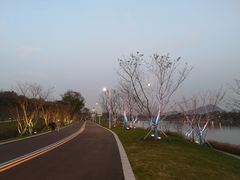 -羊山湖公园