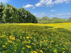 -万峰林风景区