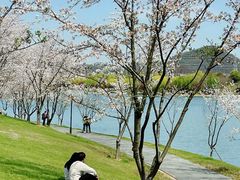 -羊山湖公园