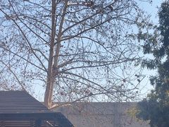 -春晖园度假酒店温泉