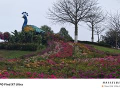 -东莞植物园