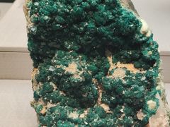 -湖南省地质博物馆