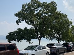 -东钱湖小普陀景区