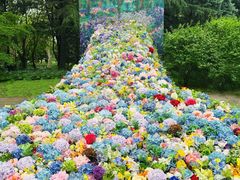 -上海共青森林公园