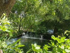 -长白岛森林公园