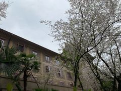-武汉大学-樱园
