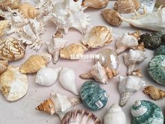 -万达广场(武汉菱角湖店)