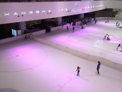 -TheRink大零溜冰场(IFS国金中心店)